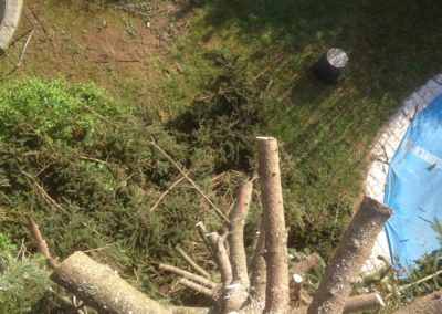 Villefranche sur Saône 69400 abattage et démontage d’un arbre